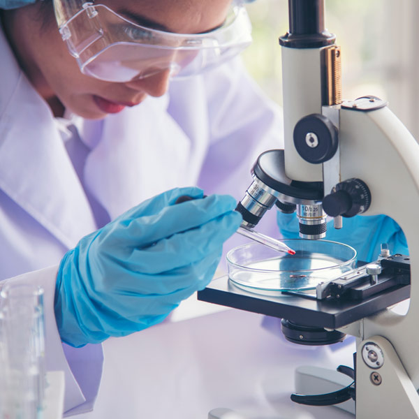 researcher using microscope
